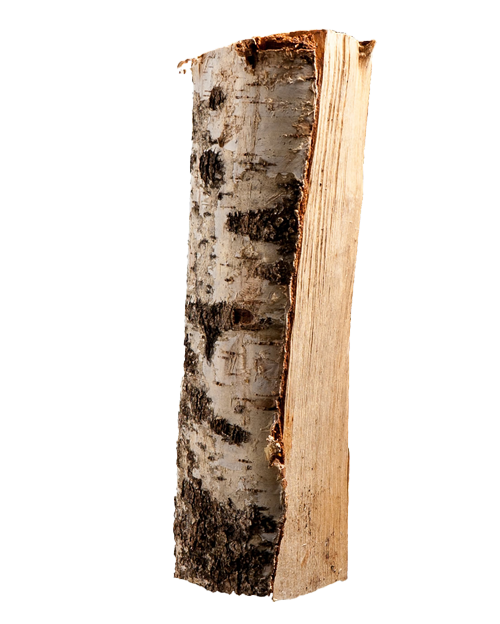 Birke - Brennholz