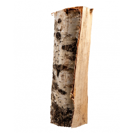 Birke - Brennholz