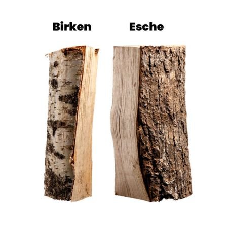 Esche - Brennholz