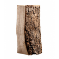 Esche - Brennholz