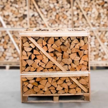 Esche - Brennholz